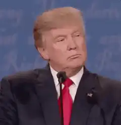 Donald Trump smirking and nodding