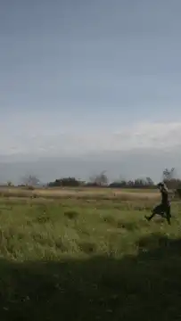 person doing a backflip in a field