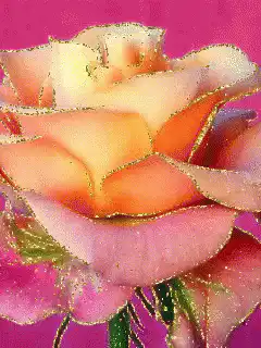 glittering rose animation