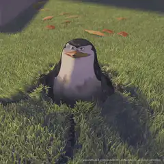 Skipper You Didn't See Anything