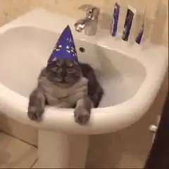 cat in sink with party hat