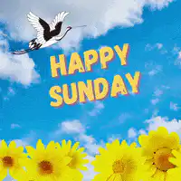 Happy Sunday with Crane and Sunflowers