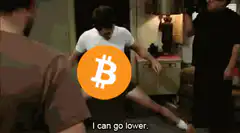 Bitcoin meme I can go lower