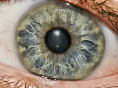 Eye zooming into a galaxy