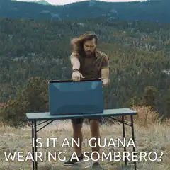 Man opens box Is it an iguana wearing a sombrero