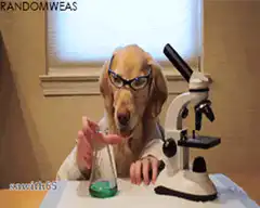 Dog scientist with green liquid