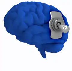 Blue brain with toggle switch