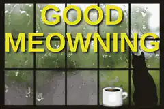 Good Meowning Cat Coffee Rain
