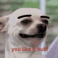 You Like It Huh Doge