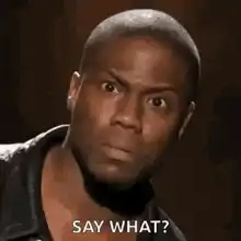 Kevin Hart Say What