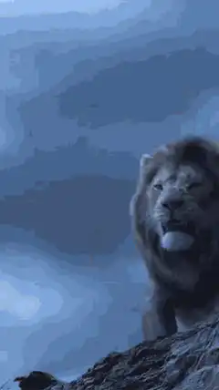 Lion roaring on a rock