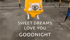 Sleeping French Bulldog on Swing