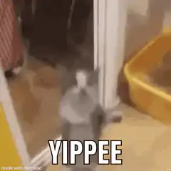 blurry cat yippee gif