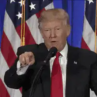 Donald Trump pointing and saying Fake News