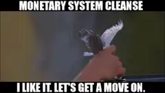 I Like It Let's Get a Move On Monetary System Cleanse