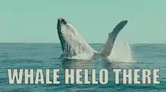 Whale Hello There