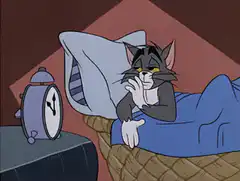 Tom the Cat Hides Under the Covers