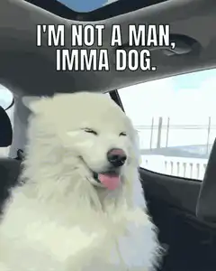 I'm not a man, I'm a dog