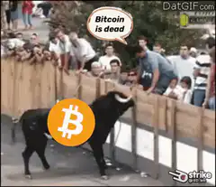 Bitcoin bull jumps fence
