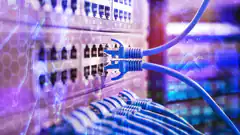 blue ethernet cables plugged into server rack