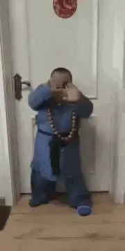 Baby Shaolin Kung Fu Dance