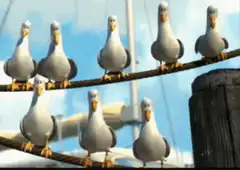Seagulls on a wire and boats