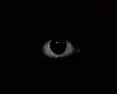 Human eye opening in the dark