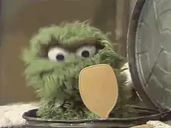 Oscar the Grouch looking in mirror