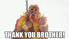 Hulk Hogan Thank You Brother