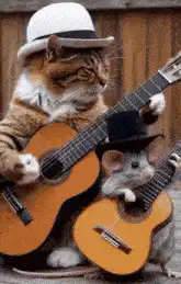 Cat and rat playing guitars