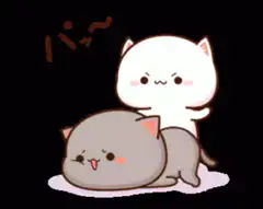 White cat slapping grey cat