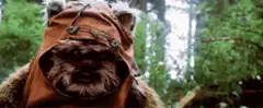 Ewok head tilt