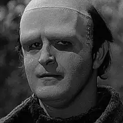 The Bride of Frankenstein's Monster Looks Around