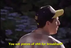 You eat pieces of shit for breakfast?