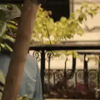 Man turns to see two women on the street