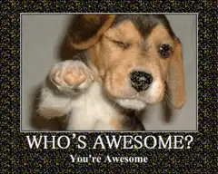 Winking Puppy Who's Awesome
