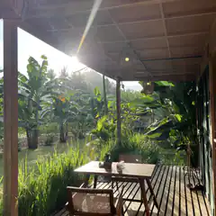 Tropical patio with lush greenery