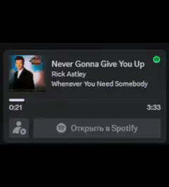 Rick Astley Never Gonna Give You Up Spotify