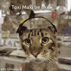 Toxi Maxi be like cat