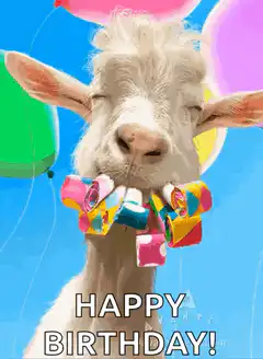 Happy Birthday Goat with Party Blowers