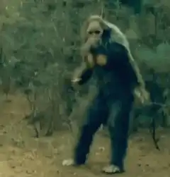 Bigfoot dancing in the woods