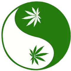 Spinning Cannabis Yin Yang