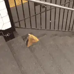 slice of pizza sliding down stairs
