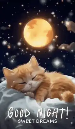 Sleeping cat under moon