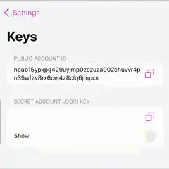Keys settings with snowman