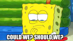 SpongeBob Could We Should We