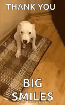 Dog smiling big smiles