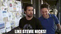 Like Stevie Nicks!