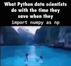 What Python data scientists do with the time they save