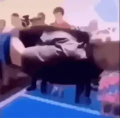 man launched off roof on couch